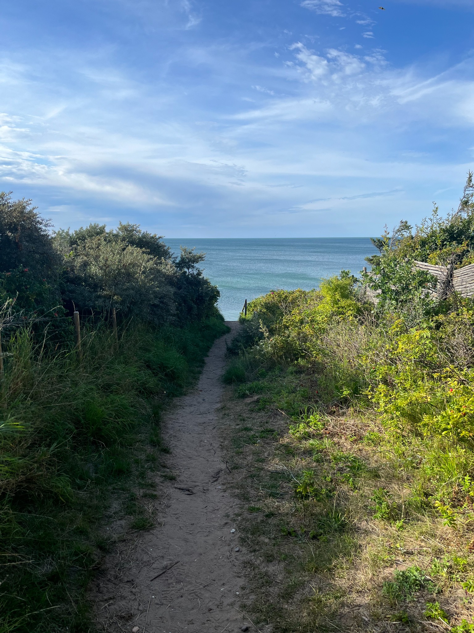 Sandy path opening towards the sea