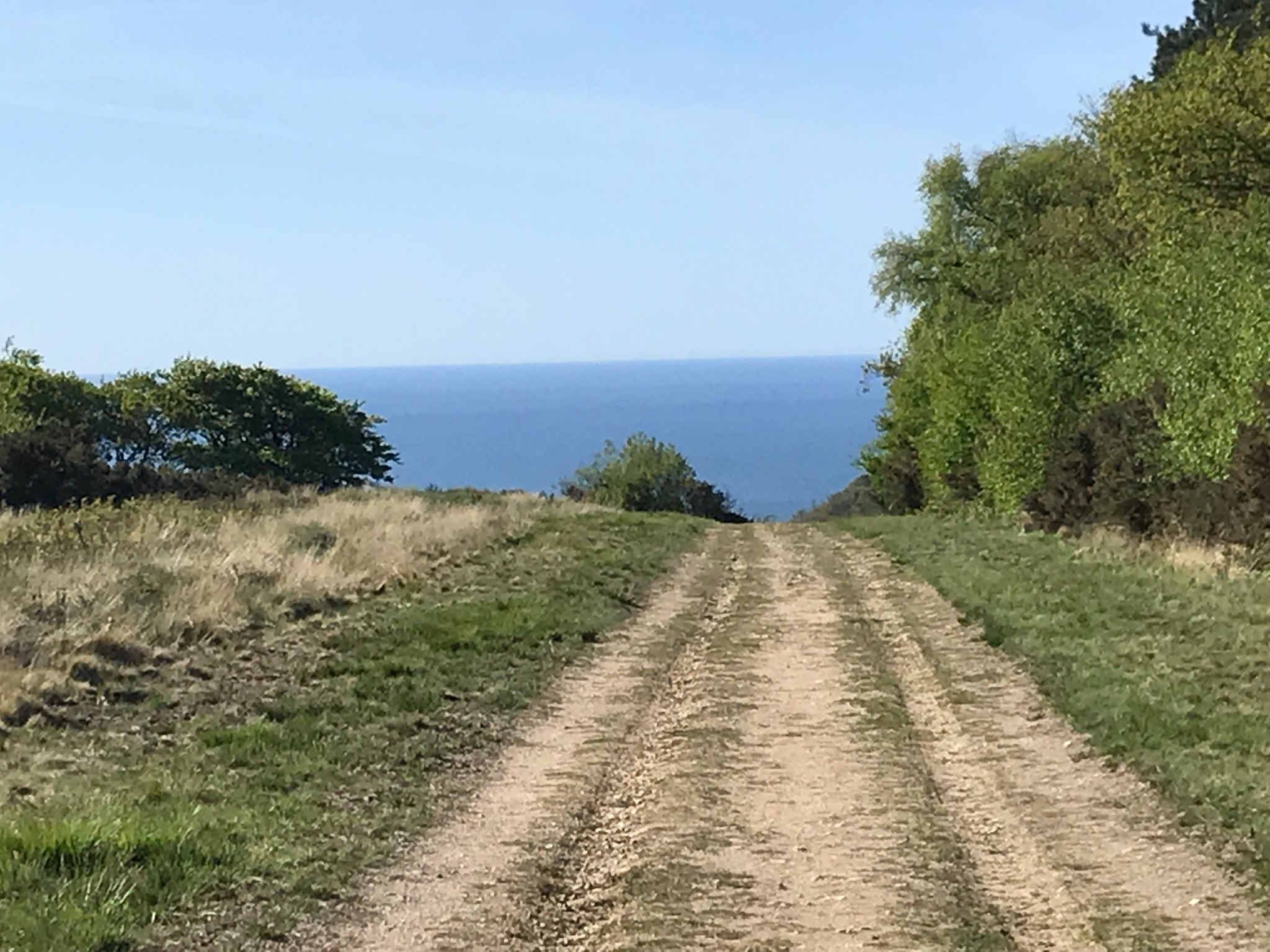 Track leading towards the sea
